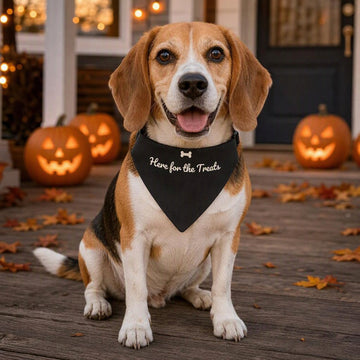 All I Want for Christmas Is My Human Pet Bandana (Forest Green)