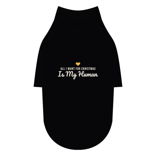 All I Want for Christmas Is My Human Dog Raglan Tee · Matching Pet Raglan Tee · Paw Crew