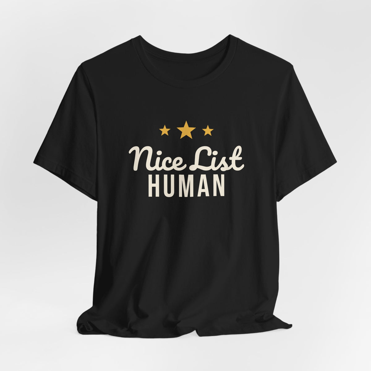 Nice List Human Christmas Shirt · Matching Pet & Owner Tee