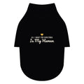 All I Want for Christmas Is My Human Dog Raglan Tee · Matching Pet Raglan Tee · Paw Crew