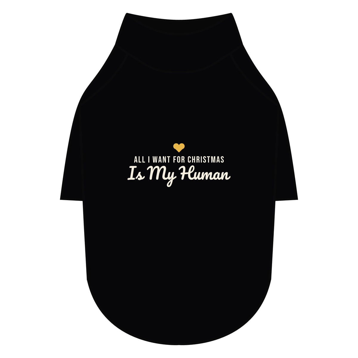 All I Want for Christmas Is My Human Dog Raglan Tee · Matching Pet Raglan Tee · Paw Crew