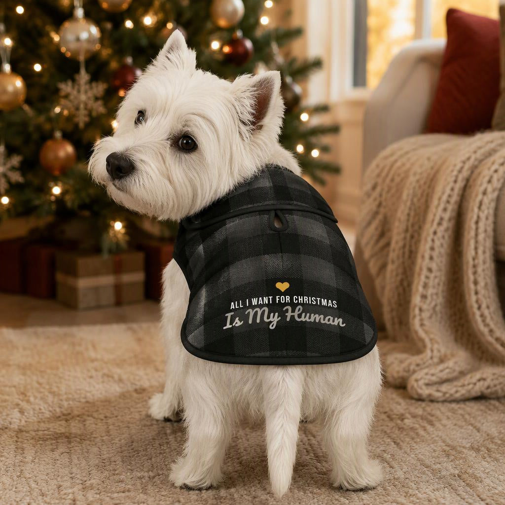 modelo:christmas-2026:ficha:all-i-want-for-christmas-is-my-human-dog-fleece-jacket