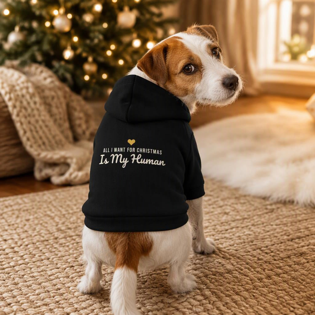 modelo:christmas-2026:ficha:all-i-want-for-christmas-is-my-human-dog-hoodie
