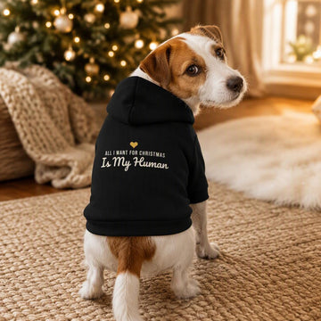 All I Want for Christmas Is My Human Dog Hoodie