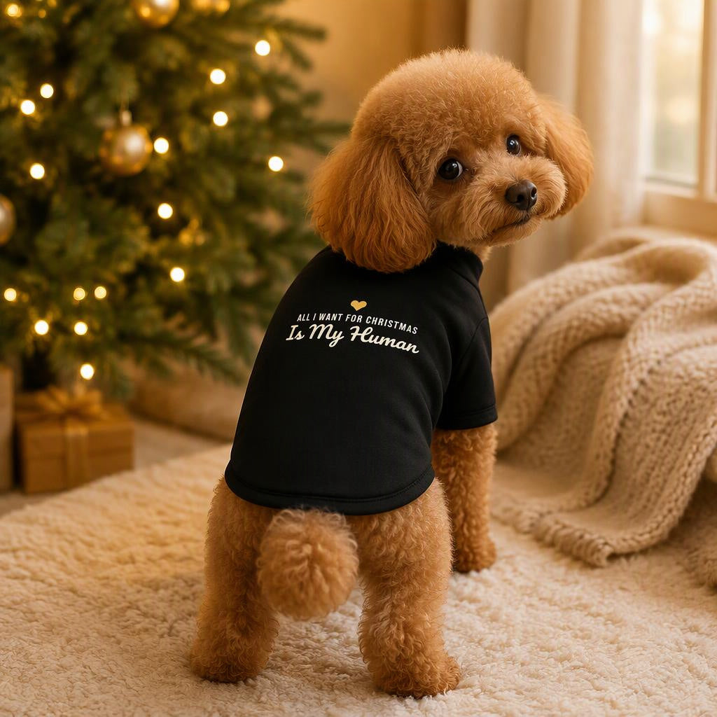 modelo:christmas-2026:ficha:all-i-want-for-christmas-is-my-human-dog-raglan-tee