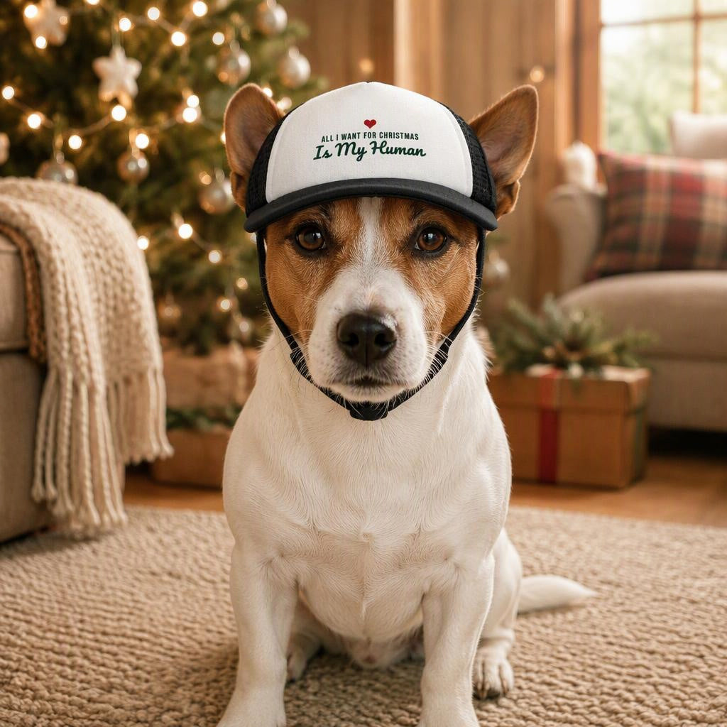 modelo:christmas-2026:ficha:all-i-want-for-christmas-is-my-human-dog-trucker-hat