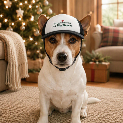 modelo:christmas-2026:ficha:all-i-want-for-christmas-is-my-human-dog-trucker-hat