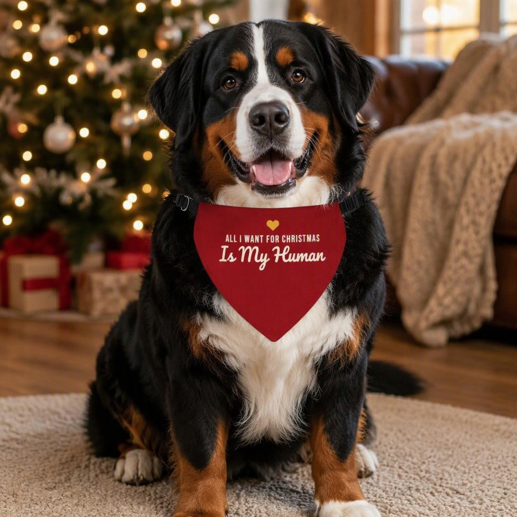 modelo:christmas-2026:ficha:all-i-want-for-christmas-is-my-human-pet-bandana-red