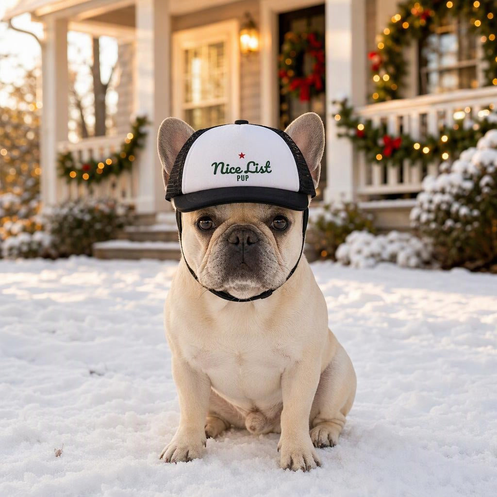modelo:christmas-2026:gorra