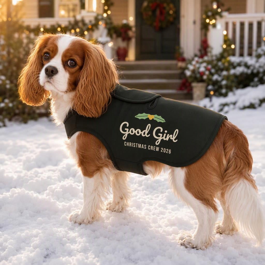 modelo:christmas-crew-2026:chaqueta