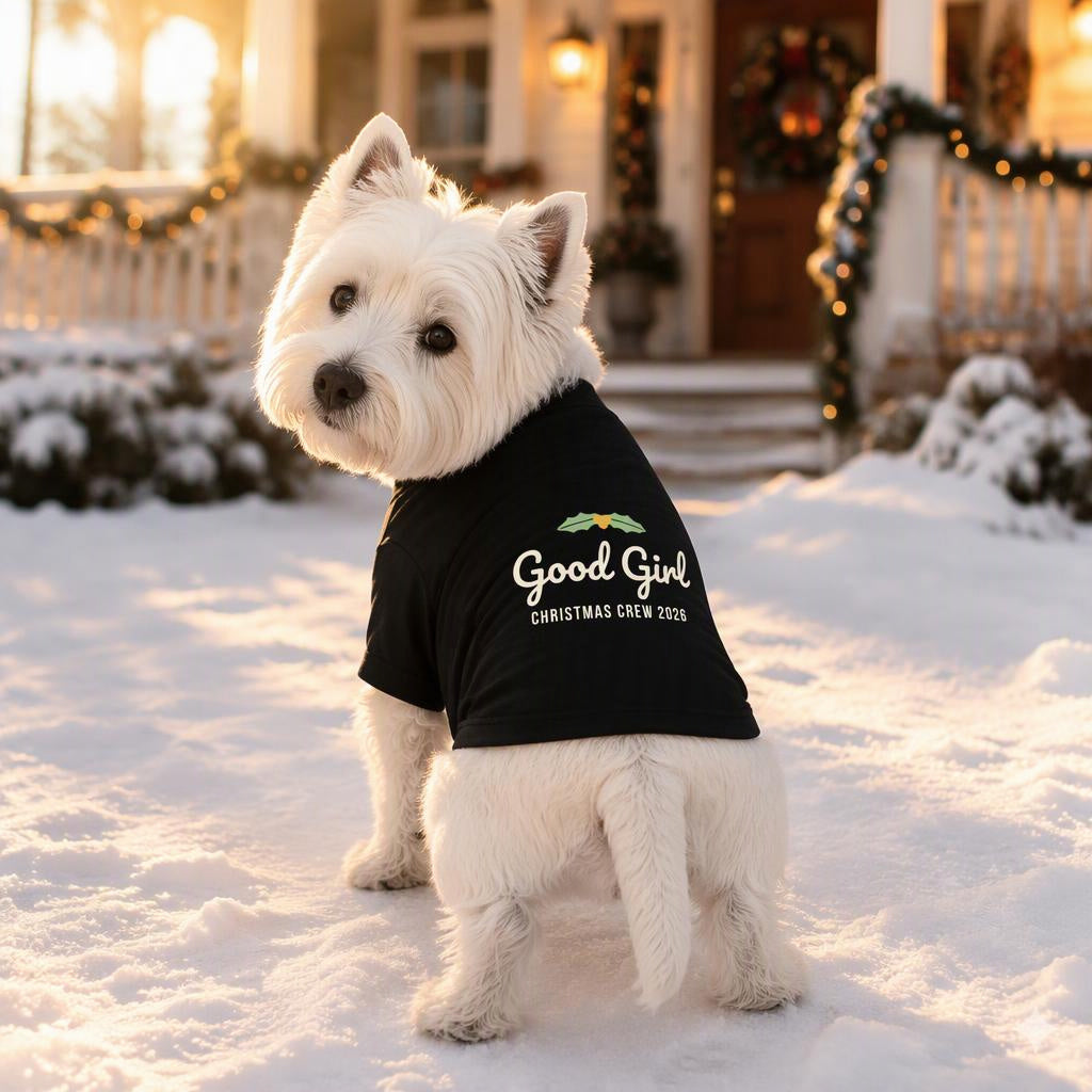 modelo:christmas-crew-2026:ficha:good-girl-dog-raglan-tee