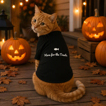 Here for the Treats Cat Raglan Tee