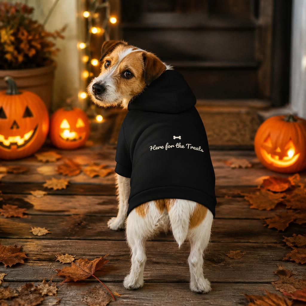 modelo:halloween-2026:ficha:here-for-the-treats-dog-hoodie