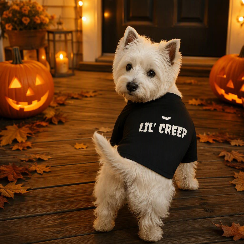 modelo:halloween-2026:ficha:lil-creep-dog-raglan-tee