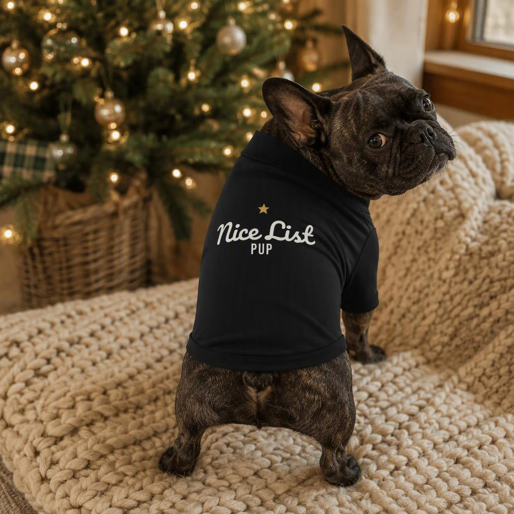 modelo:christmas-2026:ficha:nice-list-pup-dog-raglan-tee