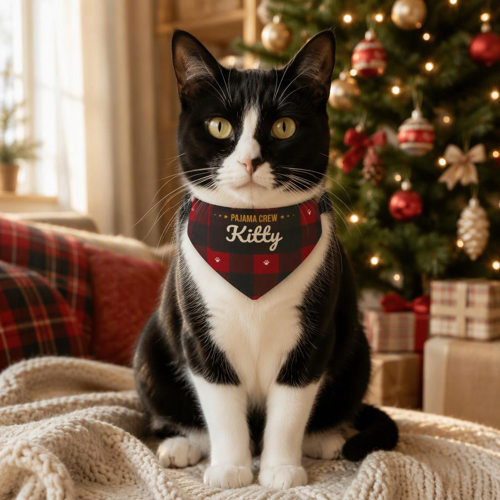 modelo:pijamas:individual:panoleta-pj-kitty-rojo