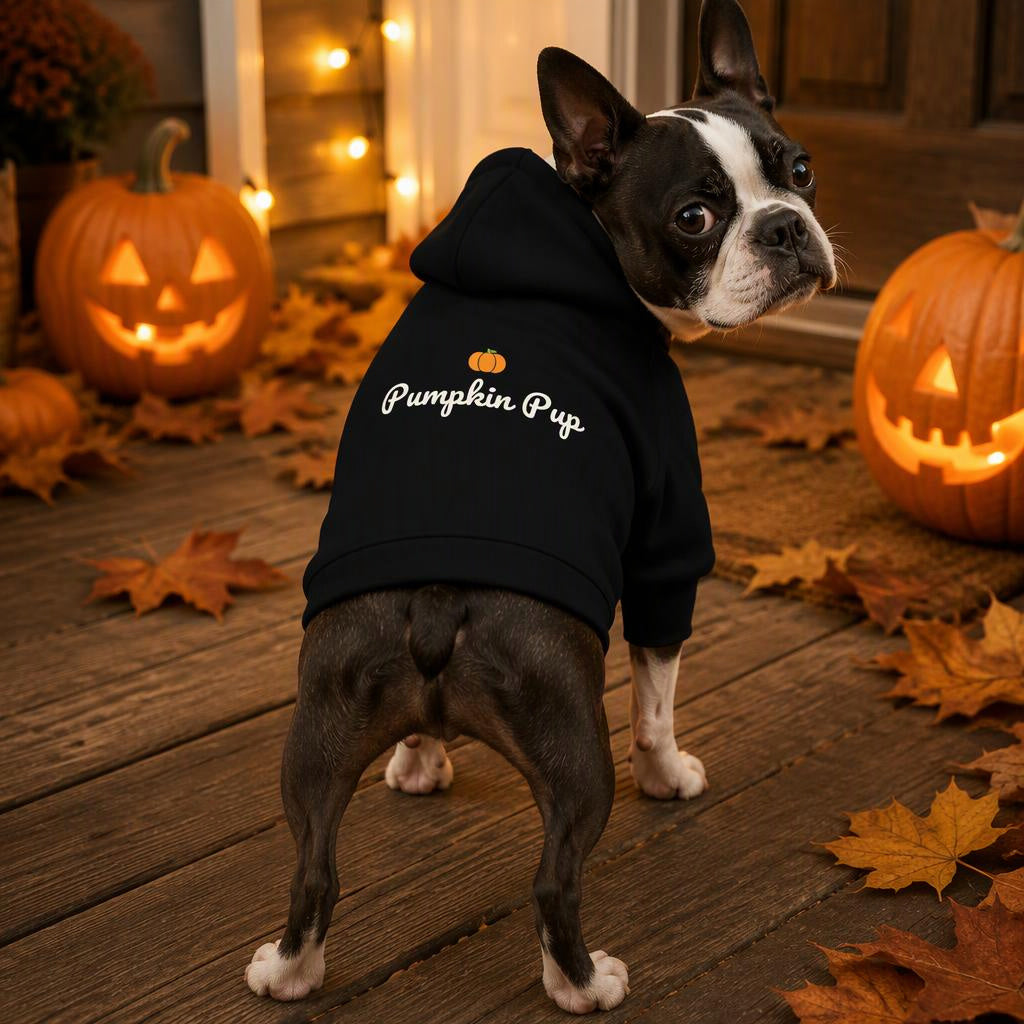 modelo:halloween-2026:ficha:pumpkin-pup-dog-hoodie