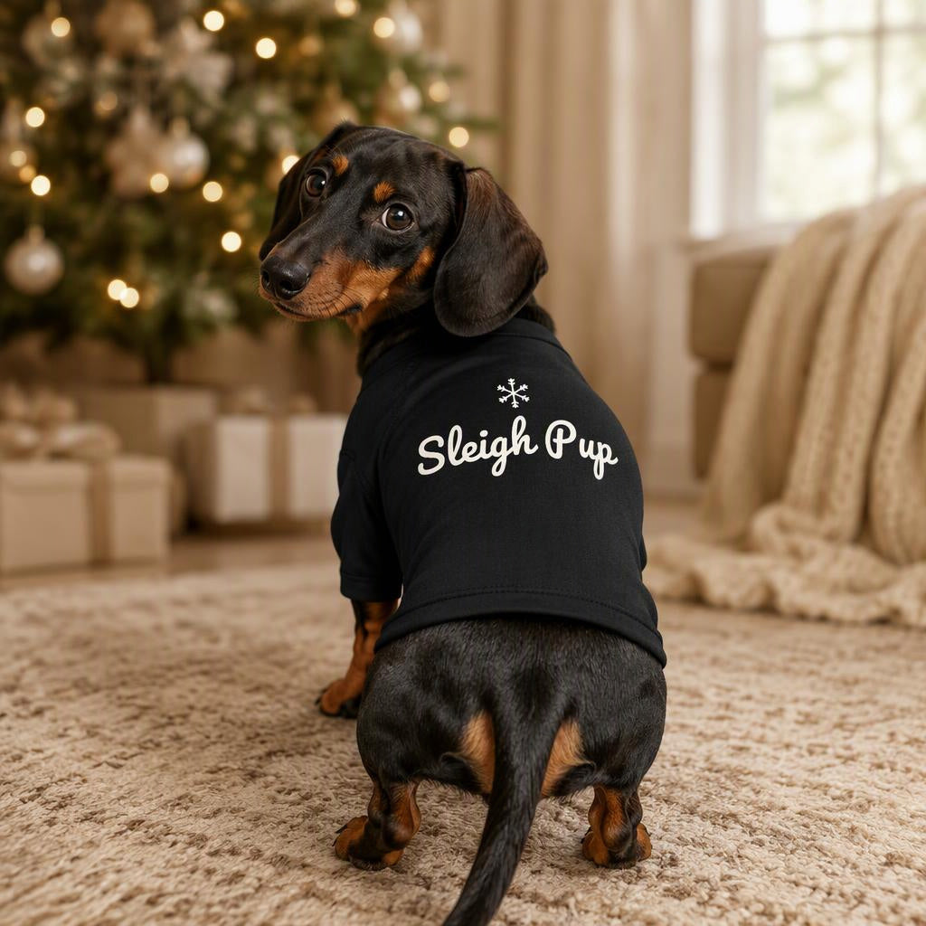 modelo:christmas-2026:ficha:sleigh-pup-dog-raglan-tee