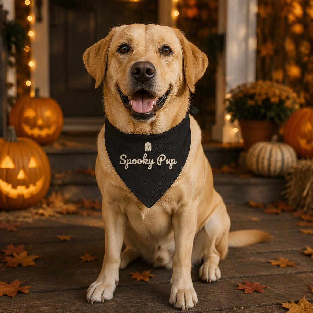 modelo:halloween-2026:ficha:spooky-pup-dog-bandana-black