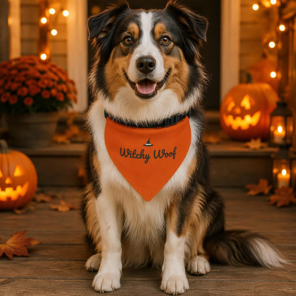 modelo:halloween-2026:ficha:witchy-woof-dog-bandana-orange