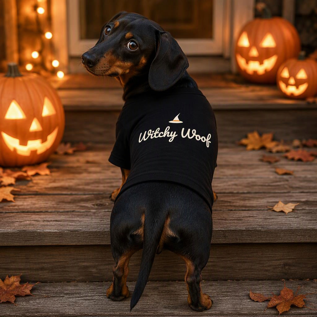 modelo:halloween-2026:ficha:witchy-woof-dog-raglan-tee